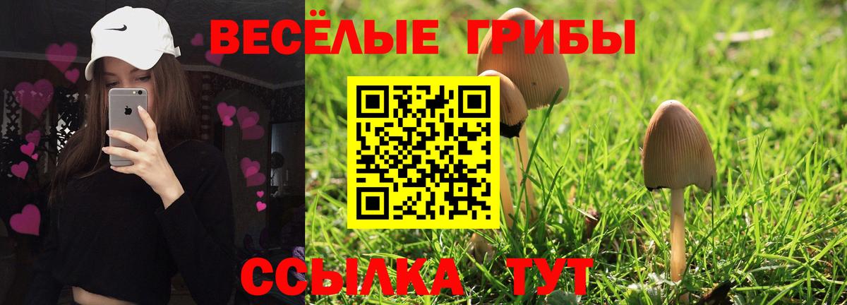 Галлюциногенные грибы ЛСД Гурьевск