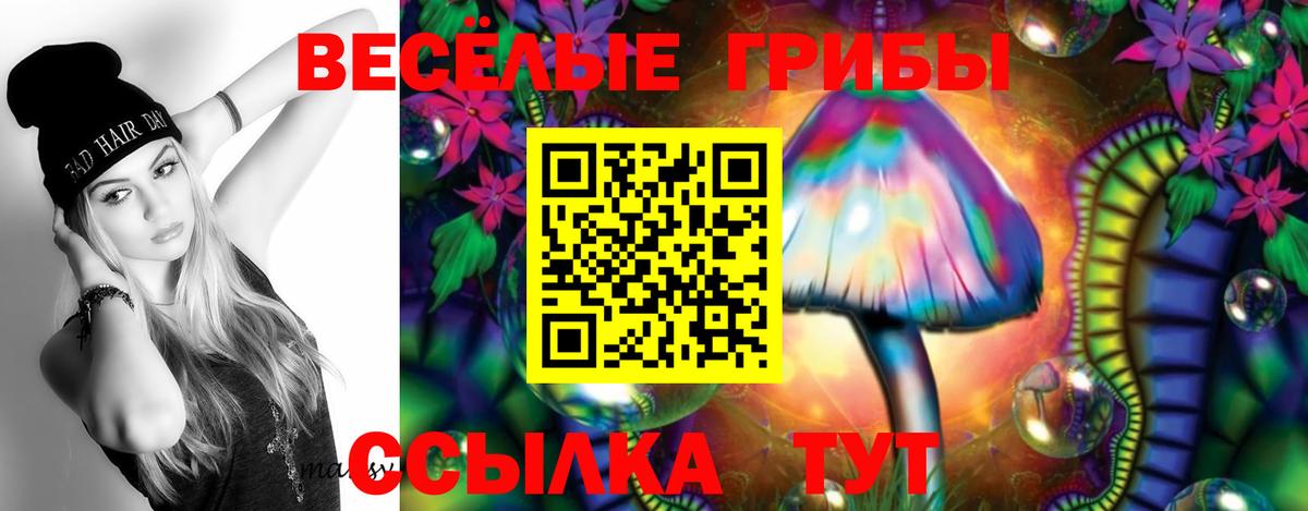 Гурьевск  Псилоцибиновые грибы Psilocybine cubensis  где продают наркотики  Вход с VPN 